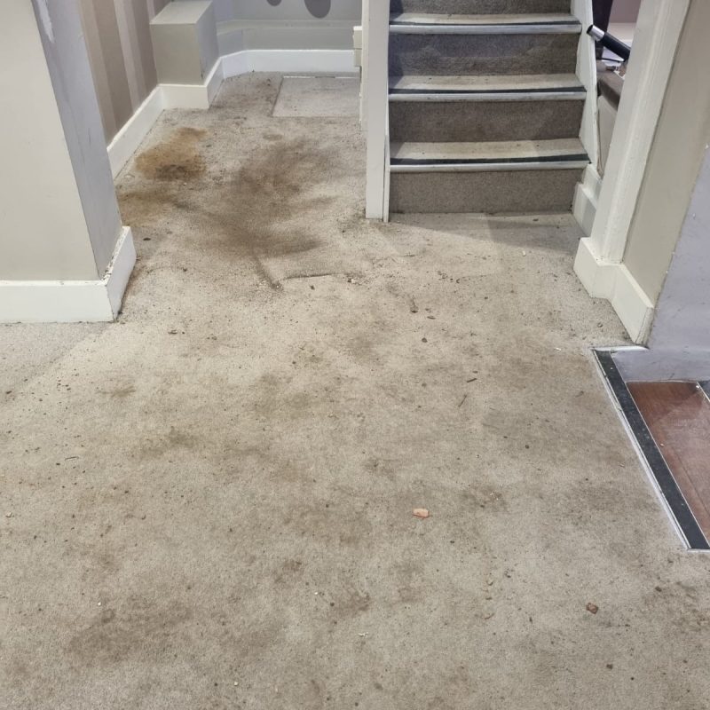 Dirty carpet near staircase and wall